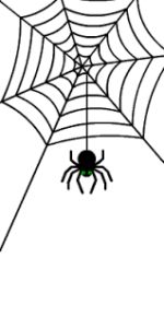 The Meaning of the Spider Spirit Animal