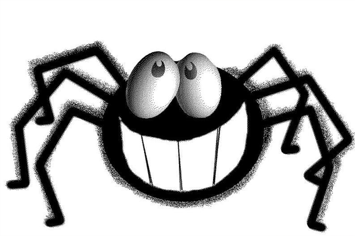 The Meaning of the Spider Spirit Animal