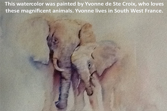 The Meaning of the Elephant in Shamanism